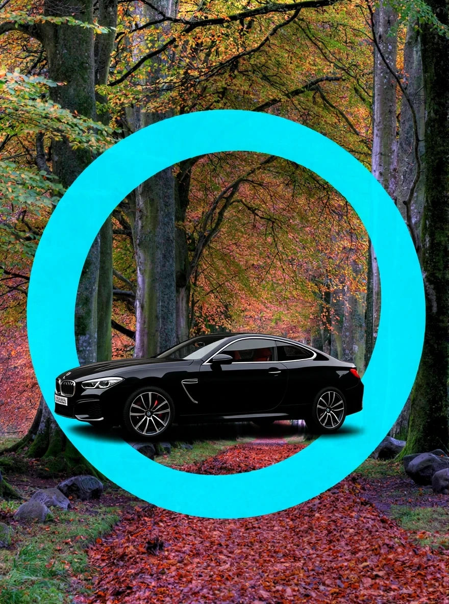 DreamOmni2 result for Add a black car inside the blue circle.