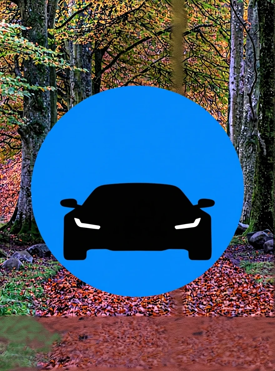 Kontext result for Add a black car inside the blue circle.