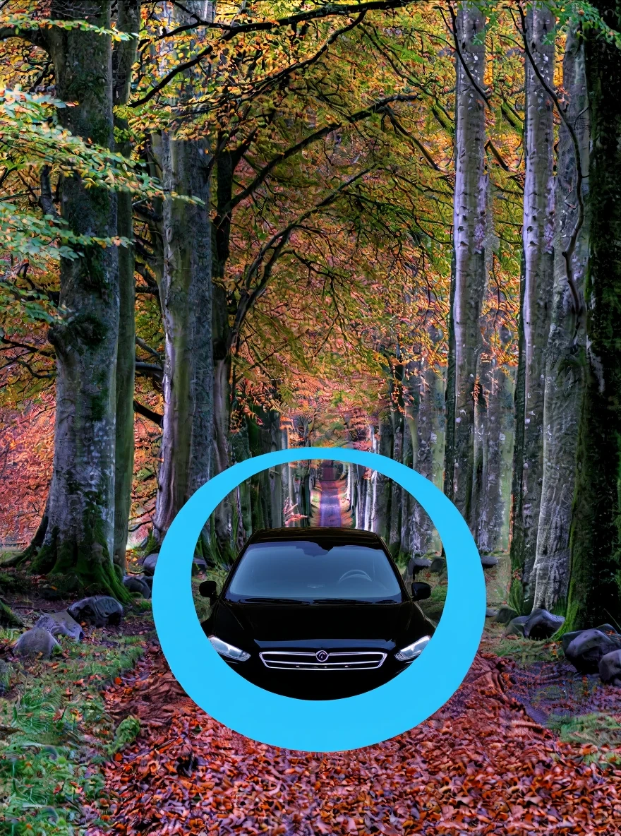 OmniGen2 result for Add a black car inside the blue circle.